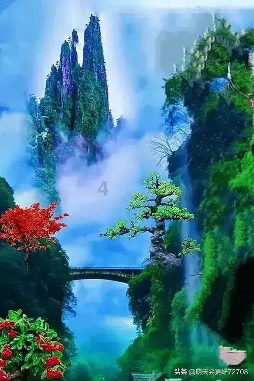 逃离白鸽之森